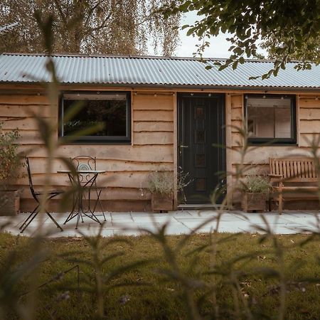 Rose Hideaway - Forest Of Dean Cosy Cabin Retreat Yorkley 외부 사진