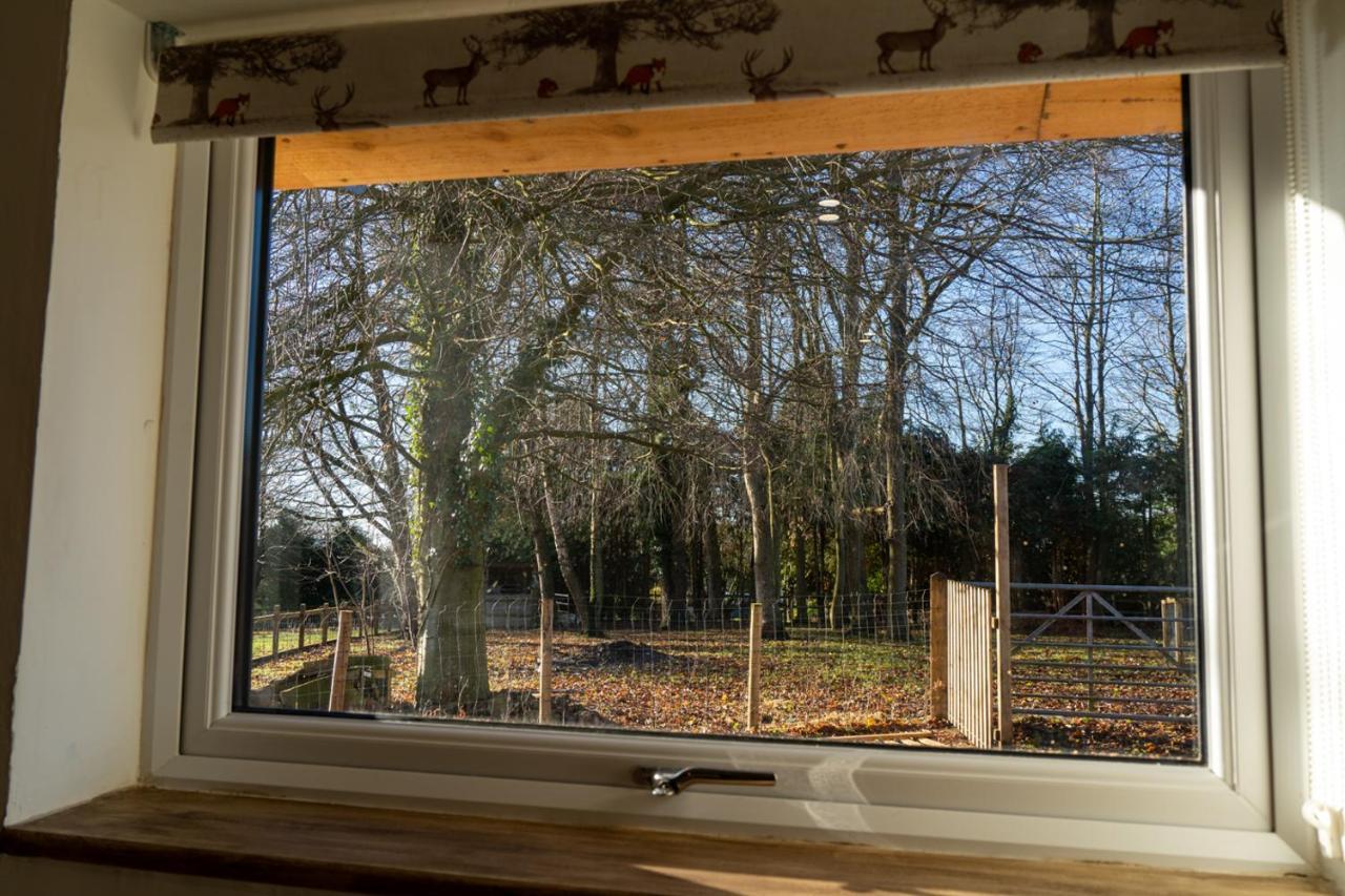 Rose Hideaway - Forest Of Dean Cosy Cabin Retreat Yorkley 외부 사진